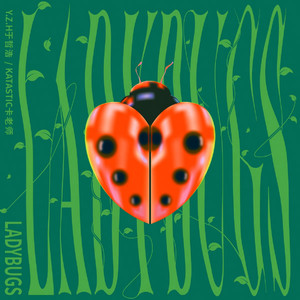 婷婷激情五月AV在线观看
