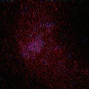 婷婷激情五月AV在线观看
