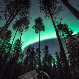 婷婷激情五月AV在线观看
